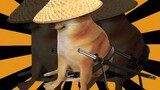super idol Master Doge Dog