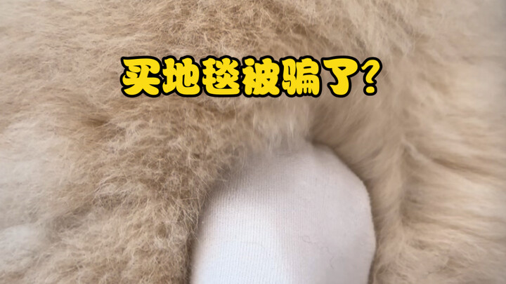 网上一万块买的地毯咋样？