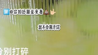 艾特他她来看