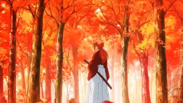 Ninja Of Battle