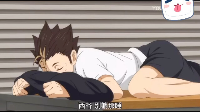 noya 好可爱！好乖！noya厨在哪里！