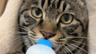 อร่อยจนตาเป็นประกายxin