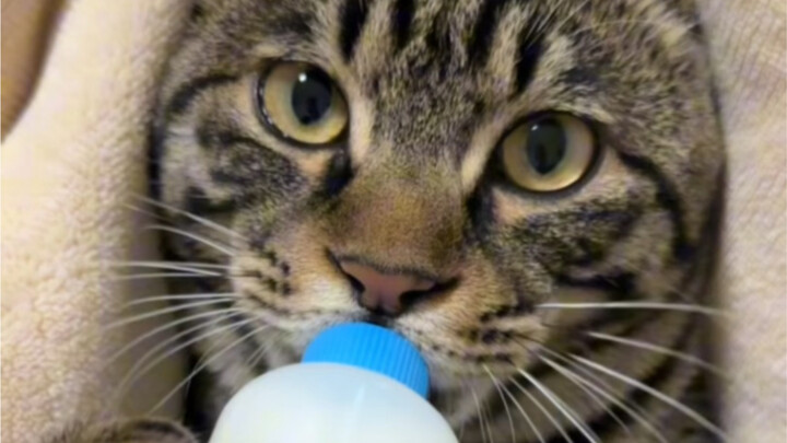 อร่อยจนตาเป็นประกายxin