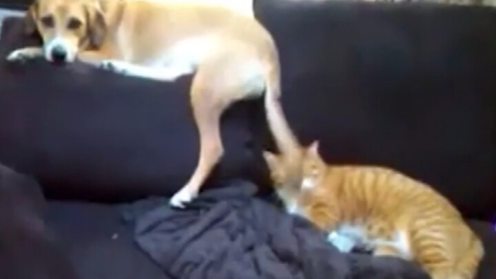 รวมคลิปตบปาก