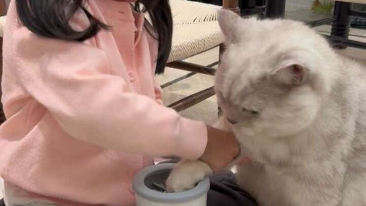 As expected, only human babies can tame little kittens!