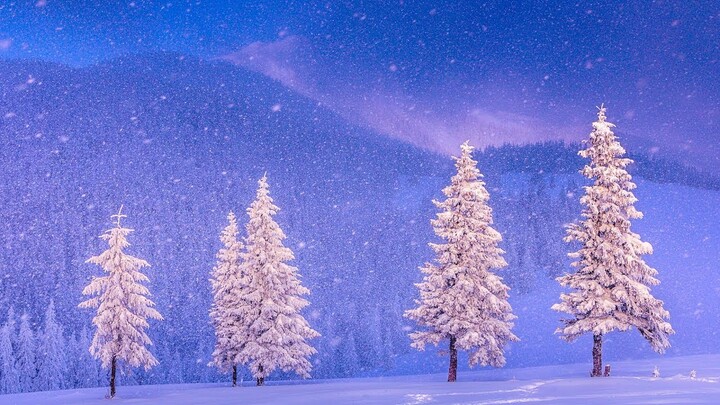 Beautiful  Christmas Music, Peaceful Piano Christmas  Music  "Christmas Winter Woods"  by Tim Janis