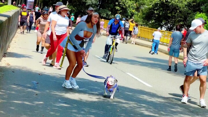 Medellín, Colombia: The Best Season of the Year 2