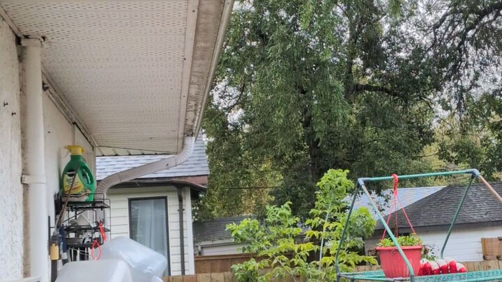 Winnipeg Rainshower - 09/14/2026