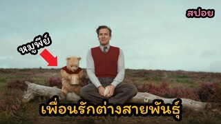 เมื่อหมูพีย์ เอ้ย หมีพูห์ มีชีวิตจริงๆ