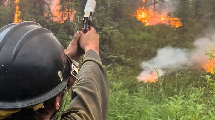 Mengelola risiko dengan cara “membalas kekerasan dengan kekerasan”.