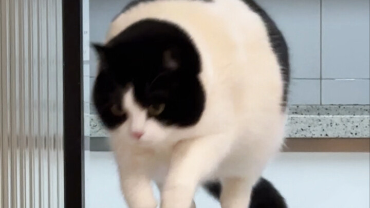 Who understands this moment's feeling of suspended air?