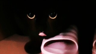 兹要是…兹要是看完这个视频不笑的，算我输，就，兹要是…