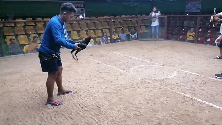 Last fight WIN! 2hits double entry @sanroquecockpitarena sayang dipa pinalad sa unang laban.