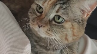 ฉันเพิ่ง 7 ขวบ ฉันอยากให้แม่อุ้ม