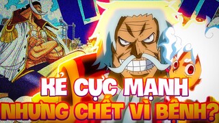 KẺ CỰC MẠNH NHƯNG CHẾT VÌ BỆNH?! | NHỮNG HUYỀN THOẠI ĐÃ CHẾT VÌ BỆNH TRONG ONE PIECE