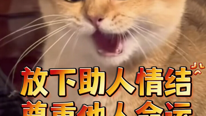 Ketika sahabatmu kali ke-n putus dan datang menemumu untuk curhat…