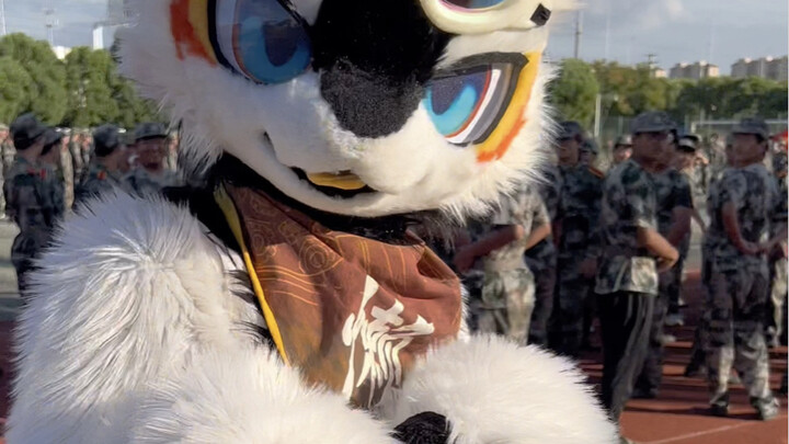Record of a butterfly dragon emerging during military training~