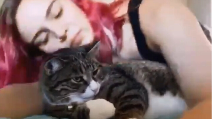 วิธีกล่อมแมวให้หลับ