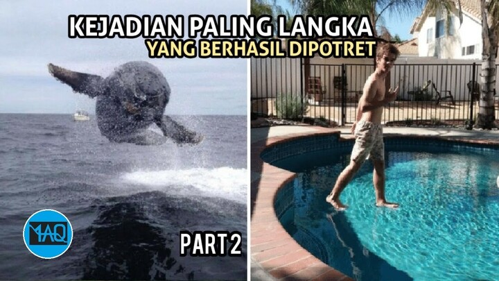 Asli dan Nyata! Inilah 60 Foto Kejadian Langka yang Berhasil Dipotret Oleh Kamera | Part 2