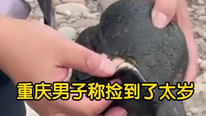 رجل من تشونغتشينغ يقول إنه عثر على “تاي سوي” على ضفة النهر. معلقون: ذكّروني بالصحفية التي انتشلت تاي