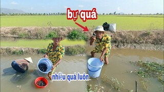 Tư cùng vợ ra đồng mò vẹm hấp xả ngon tuyệt vời