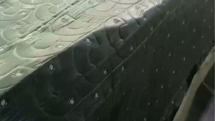 تقدّم البضائع الكبيرة لمياو مياو لونغ وشياو بينغ شياو