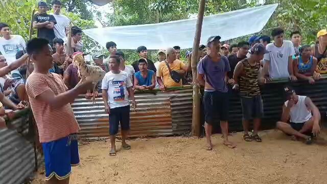 tongohin