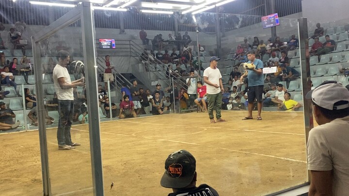 Bulik dome broodcock win in urdaneta cockpit arena