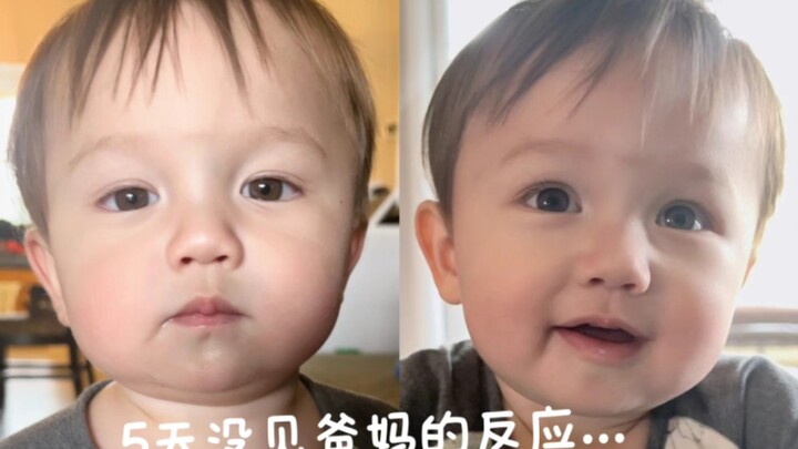 After being apart for five days, how did Smiling Chubby Little Co react when he saw us? That reactio