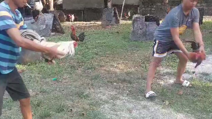 sparing part 2