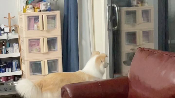 The happiest thing every day is waiting for my mom to come home from overtime.