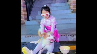 唐老六看不见了！还好有狗狗在！#斗罗大陆 #唐舞桐与唐老六 #小舞 #唐舞桐 #唐三 #唐老六