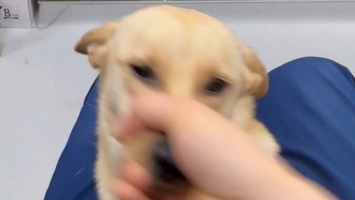 ทั้งงานยกเว้นฉันกับคุณผู้อำนวยการ ทุกคนเอาไปได้เลย! มาจับมือกันเร็ว!