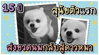 บทเรียนทดสอบหัวใจในวันจากลา บ๊ายบายขวดนม - ข้าวนึ่ง & เดอะแก๊ง