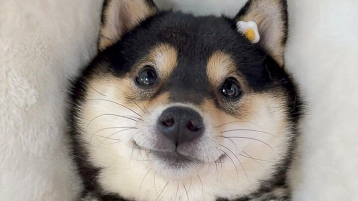 ไม่ได้ตัดเล็บมานานกว่าหนึ่งเดือน หวังว่าจะช่วยให้คุณหลับสบาย