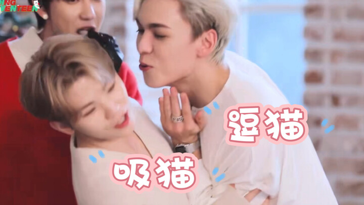 【woozi】Pengajaran Wooji dari seluruh anggota SEVENTEEN (versi ringkas)