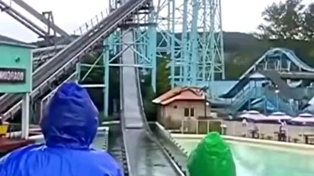 Even the bitter tea seeds are all knocked off.