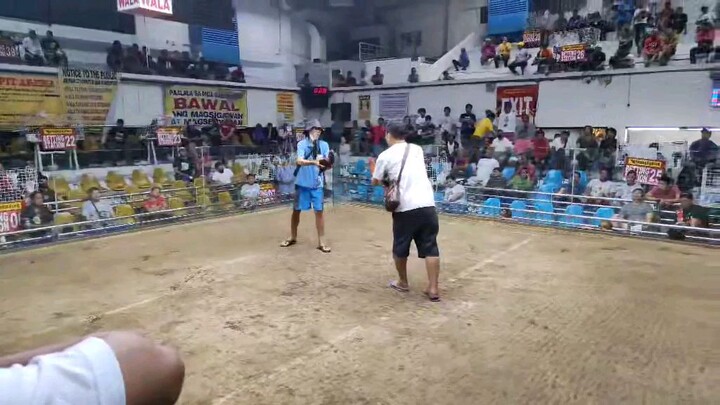 pasay cockpit di sinamahaan ng werte