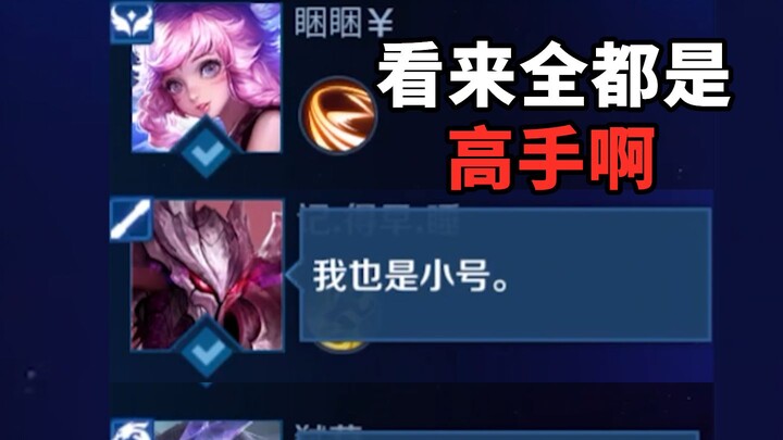 队友都是打小号的，看来全都是高手啊