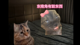 又是被女友吓到的一天