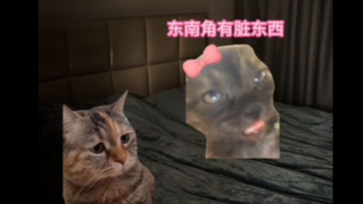 又是被女友吓到的一天