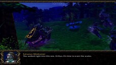 Warcraft 3 Scourge C3 The Dark Lady