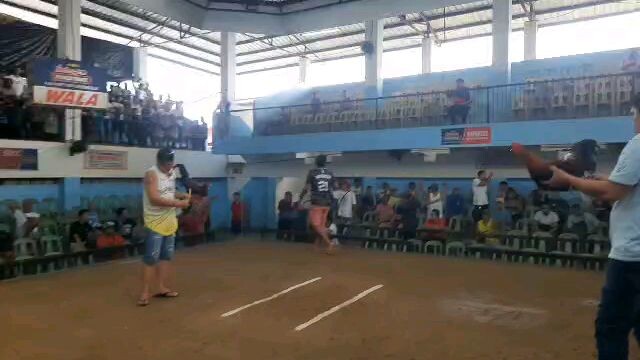 first fight of our first entry in two hits ulatan win