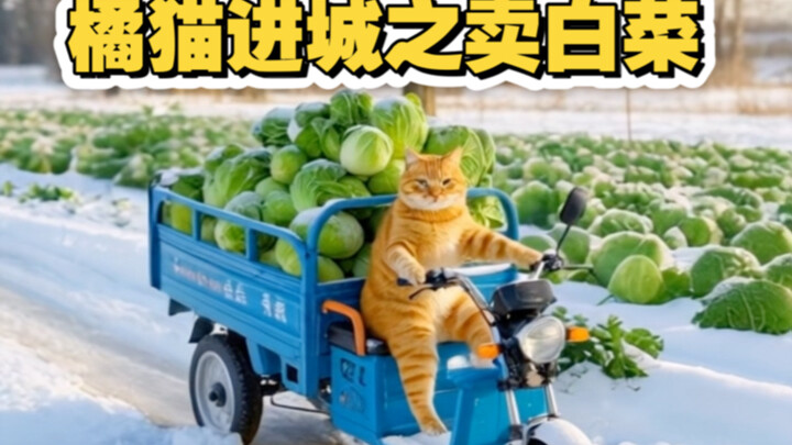 Kucing oranye gigih berjualan kol putih di hari bersalju, pulangnya tak lupa membelikan sang anak se