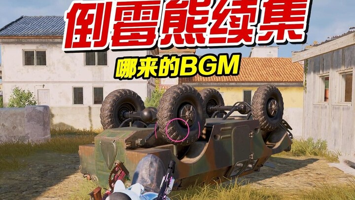 New Year’s wish: Take a ride in a cockroach car.