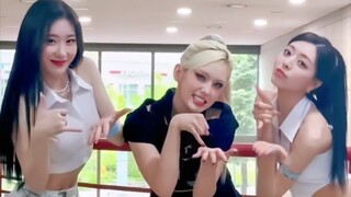 梦幻联动！【Somi+ITZY】一起跳Cake舞蹈！