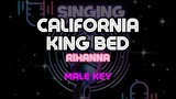 CALIFORNIA KING BED - RIHANNA | Karaoke Version (Male Key)