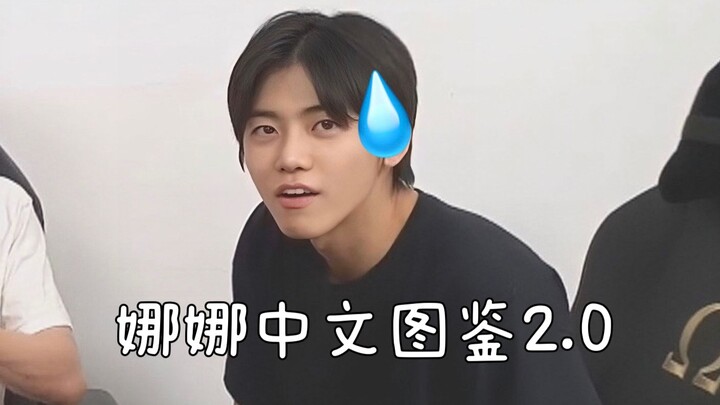 “Chỉ cần học 5 chữ Hán là có thể cãi nhau rồi” 【Bản đồ tiếng Trung của Na Jae-min 2.0】