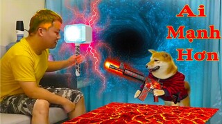 Thú Cưng TV | Ken Trẻ Trâu Bướng Bỉnh #8 | chó Shiba thông minh vui nhộn | Pets funny cute smart dog