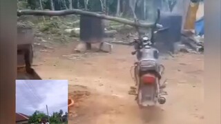 technologia